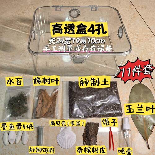 鼠妇西瓜虫饲养盒透明套餐垫材饲料腐熟叶爬宠爬虫生态缸马陆宠物