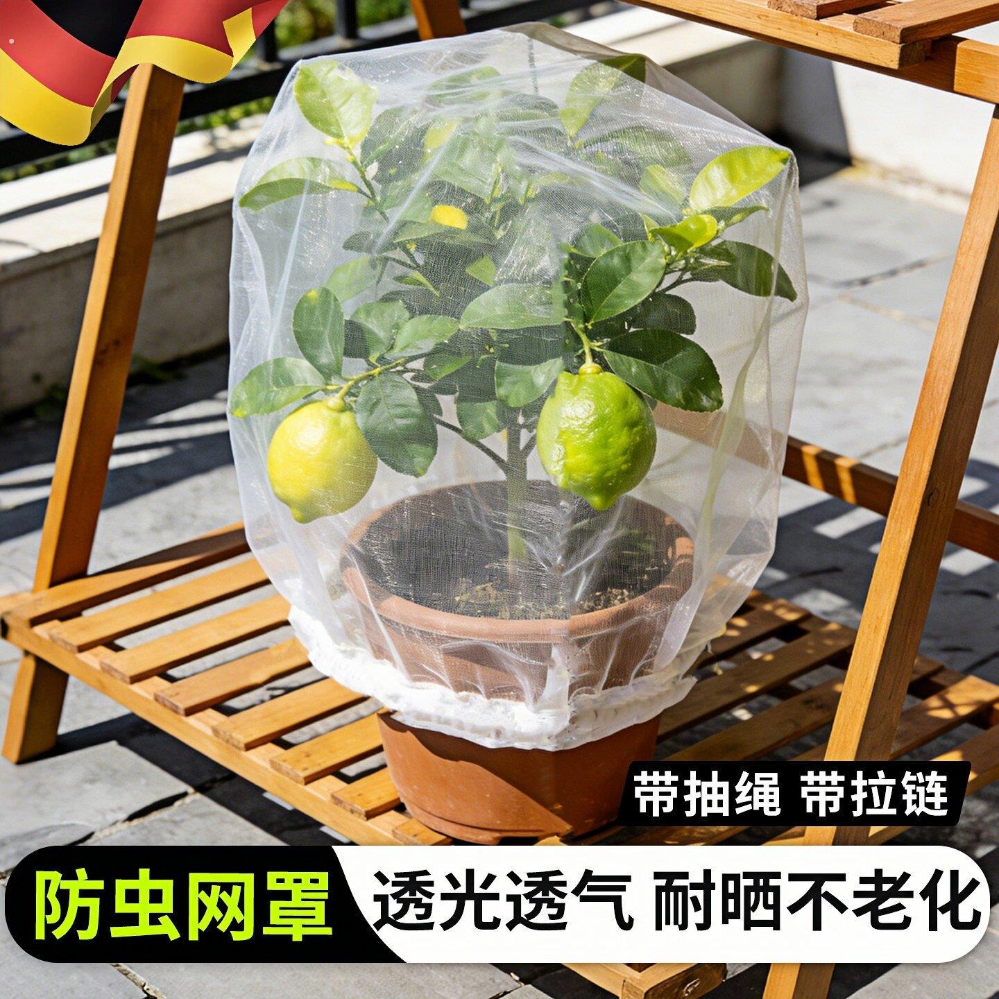德国防鸟罩果树防虫网罩蓝莓樱桃树透明带抽绳拉炼户外园艺防护网