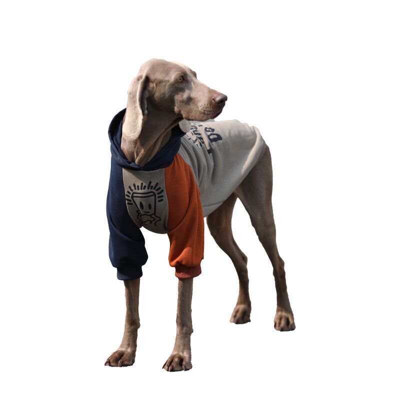 大狗衣服拉布拉多金毛边牧春秋防掉毛卫衣宠物连帽中大型犬衣服