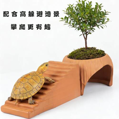 乌龟爬梯晒台黄缘半水龟饲养箱乌龟缸水陆分离沙盘产蛋池专用爬台
