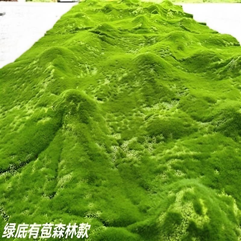 青苔地毯仿真草皮草坪假苔藓橱窗苔藓商场墙贴花墙植物墙盆景盆栽