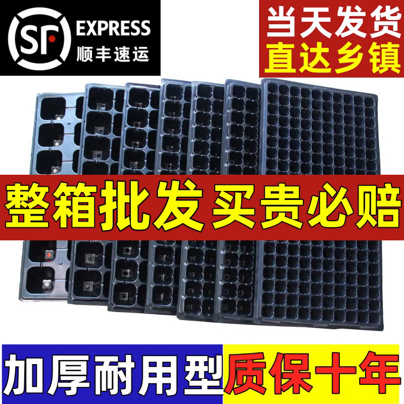 育苗盘穴盘育苗盆育苗盒营养钵塑料杯育苗器专用多肉培育箱钵