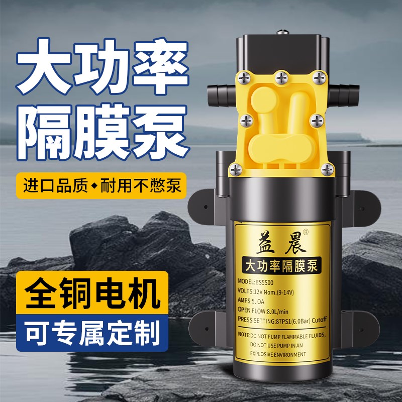 12v喷雾器水泵电动喷雾器高压水泵背负式喷雾器水泵双电机大压力