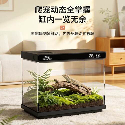 豹纹守宫智能温控箱肥尾饲养箱恒温箱爬宠保温箱宠物角蛙蛇造景缸