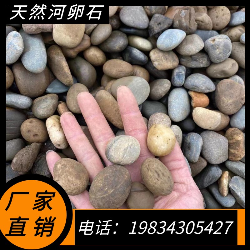 四川河卵石江苏天然河滩石鹅卵石溪流河卵石庭院景观河湜池塘驳岸