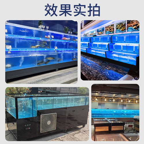 饭店超市制冷氧气制氧循环一体可移动海鲜鱼缸海鲜池商用卖鱼鱼缸