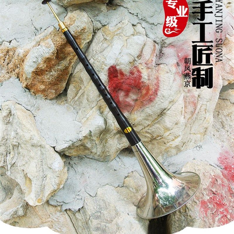 唢呐乐器全套 专业级乌木大F调大降E大D调低音大唢呐民间白事大号