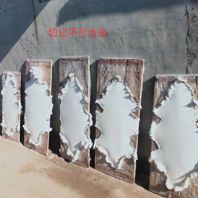 整张羊皮飘窗垫羊毛地毯皮毛一体沙发垫家用客厅垫子卧室阳台毯子