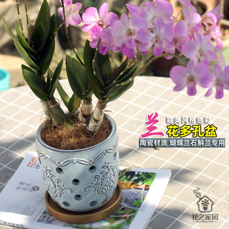 陶瓷花盆透气多孔镂空家居洋兰梦香兰石斛兰蝴蝶兰专用花盆包邮