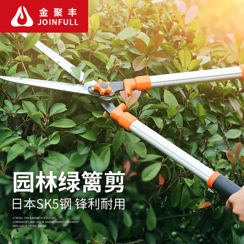 园艺园林绿化修枝工具修枝剪花园剪草大剪刀修剪花木树枝强力剪刀