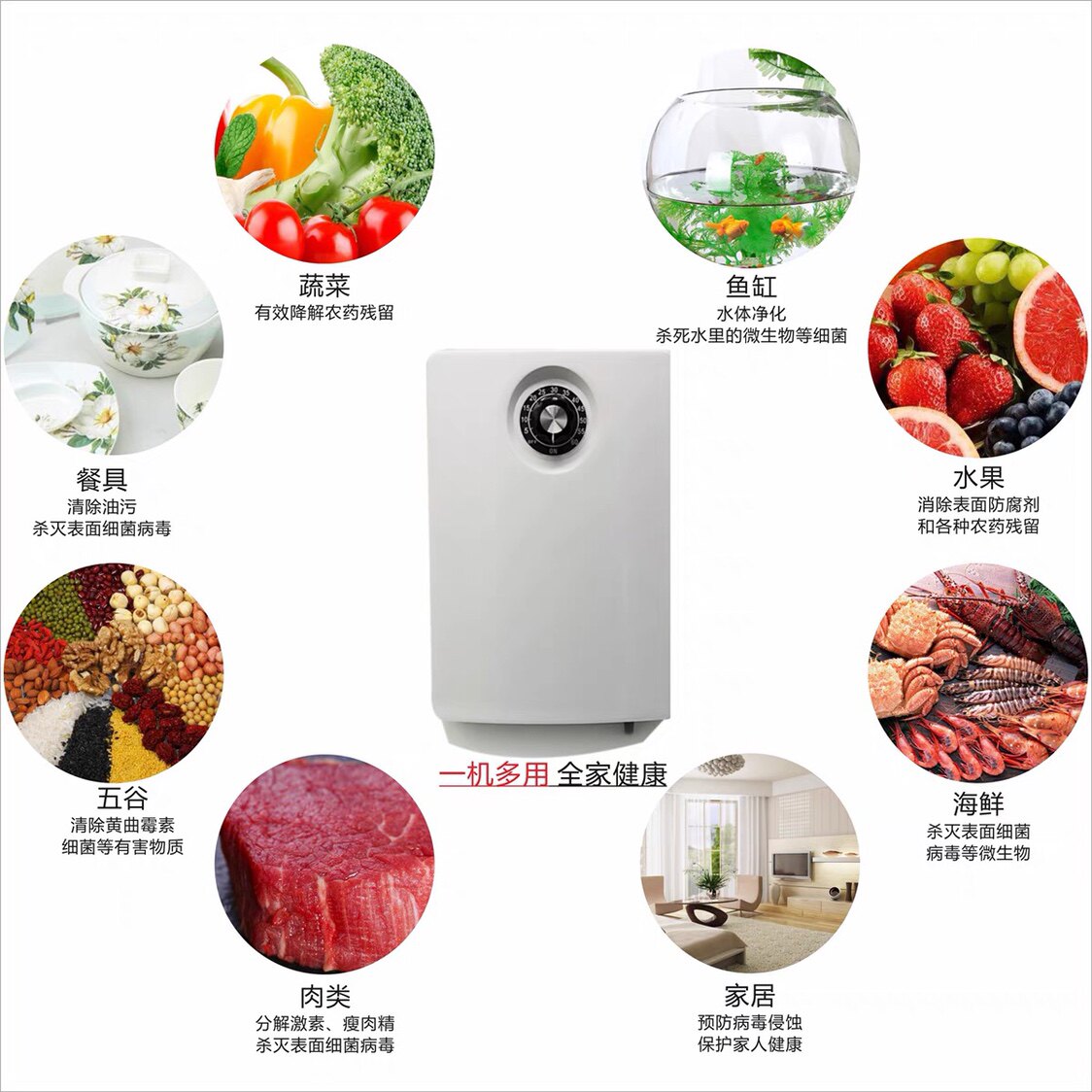 2000mg臭氧发生器多功能果蔬肉解毒机家用水处理鱼缸活氧净水消毒