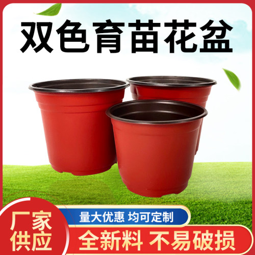 双色盆营养杯育苗杯加厚多肉盆室内盆栽塑料大号育苗盆摔不坏花盆