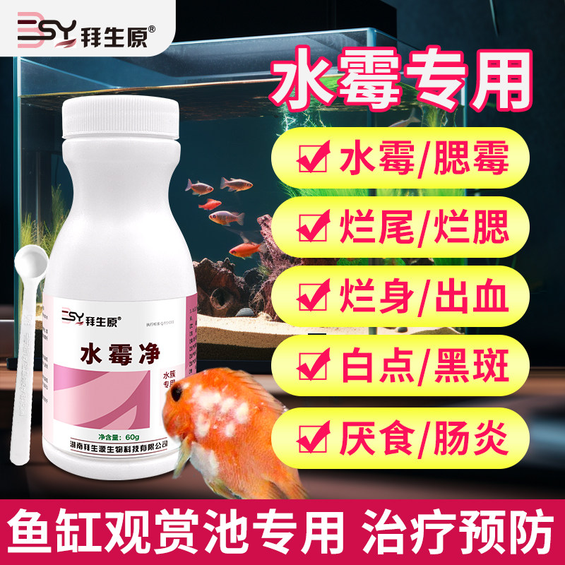 水霉净观赏鱼鱼缸水霉白毛烂尾烂腮白点厌食小水体专用净水杀菌