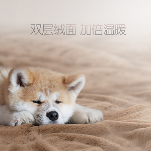 眠趣秋田绒毛毯加厚双层冬季盖毯珊瑚法兰床单毯子单人午睡沙发毯