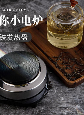 小型500W电热炉小电炉煮茶炉煮咖啡电炉子加热烧杯迷你厨房保温炉