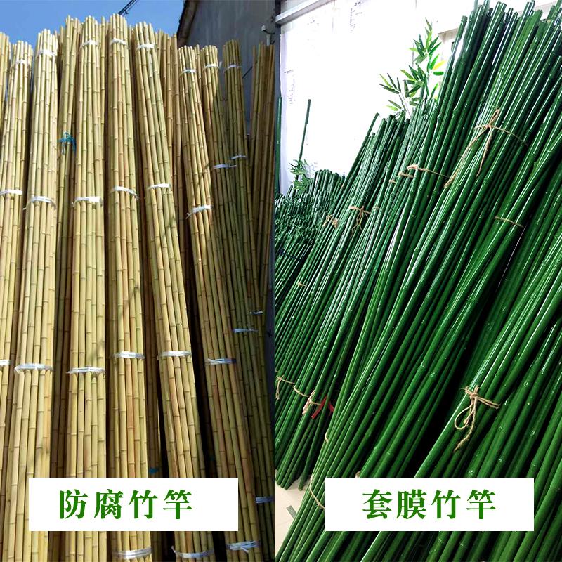 竹竿装潢粗竹竿楠竹子防虫腐菜园搭架篱笆栅栏彩旗白竹杆跳舞