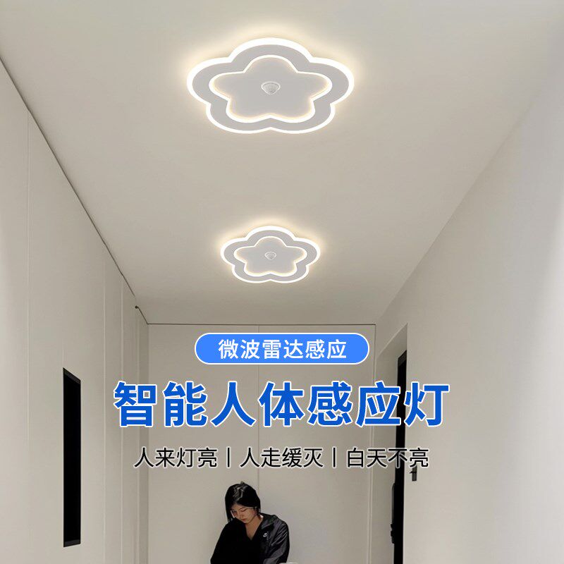 感应灯人来即亮人走即灭入户楼道夜间人体led过道灯走廊灯玄关灯