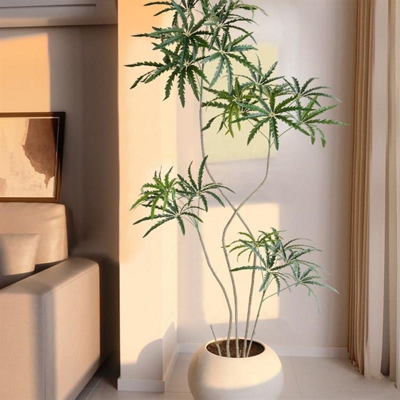客厅彷真绿色植物盆栽孔雀木高端轻奢室内落地装饰花高级彷生植物