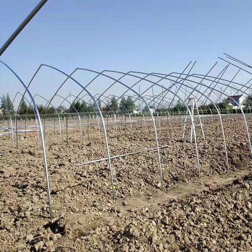 云南 温室养殖大棚花卉大棚 蔬菜大棚 连栋大棚 大棚钢管大棚骨架