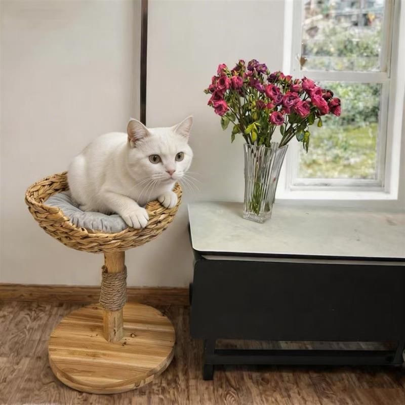 纯天然材料编织猫爬架家用不占地单猫窝猫爬架猫抓板多功能猫爬树图片