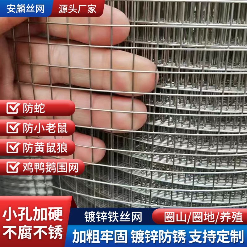镀锌铁丝网围栏网鸡鸭鹅兔鸟笼养殖网鼠蛇防护网养殖网格网铁丝网
