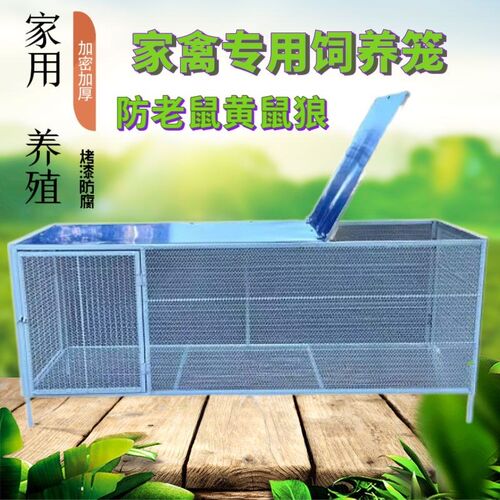 鸡笼家用铁丝网特大号防黄鼠狼防鼠兔鸽笼子不锈钢鹌鹑小鸡养殖笼