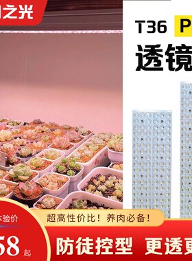 植物之光T36聚光透镜LED全光谱自然光防徒上色室内家用多肉补光灯