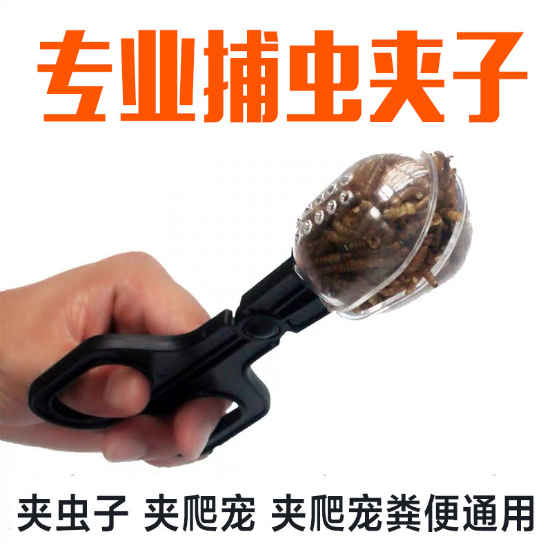 爬宠喂食夹子捕虫器蟋蟀陆龟蜥蜴油葫芦蜘蛛小宠物清洁工具透明夹