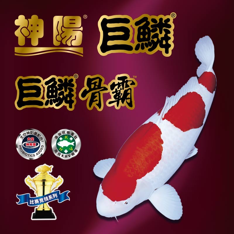 神阳巨鳞锦鲤饲料骨霸红白比赛级锦鲤鱼粮饲料增体增色鱼食大包装
