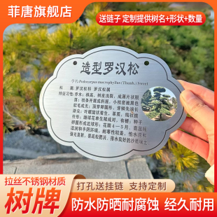 不锈钢树牌挂牌定制学校公园花草牌植树节植物树木认养介绍标识提