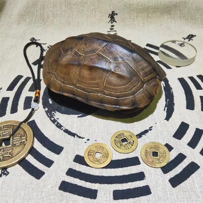 真乌龟壳精品天然完整六爻龟甲文玩摆件清乾隆通宝真品后天八卦图