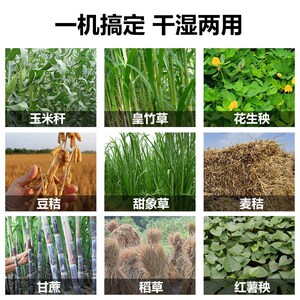 家用铡草机干湿两用玉米秸秆粉碎机养殖牛羊饲料小型碎草机切草机