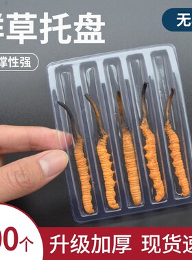 新鲜冬虫夏草包装鲜草独立管8cm虫草管单管鲜虫草托盘保鲜袋真空