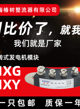 MXG40A70AMXY40A70A大型大功率旋转式发电机模块专用二极管整流桥