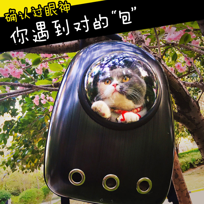 猫包宠物出门包猫笼子便携舱包双肩狗狗背包太空包书包装猫咪用品