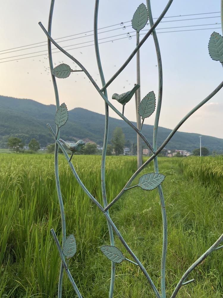 SHANGPIN 复古铁艺爬藤架 铁线莲片状爬藤