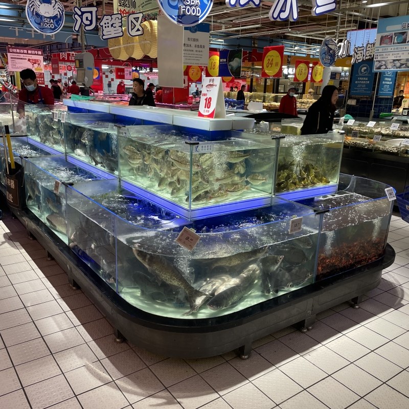 海鲜鱼缸带制冷双温控超市海鲜暂养池海鲜池商用多组合海水养殖缸