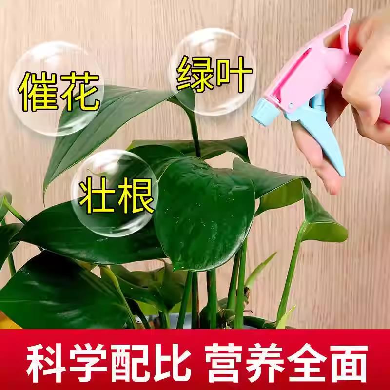 【拍一发三】植物浓缩绿植营养液养花易吸收盆栽花卉肥料通用型JH
