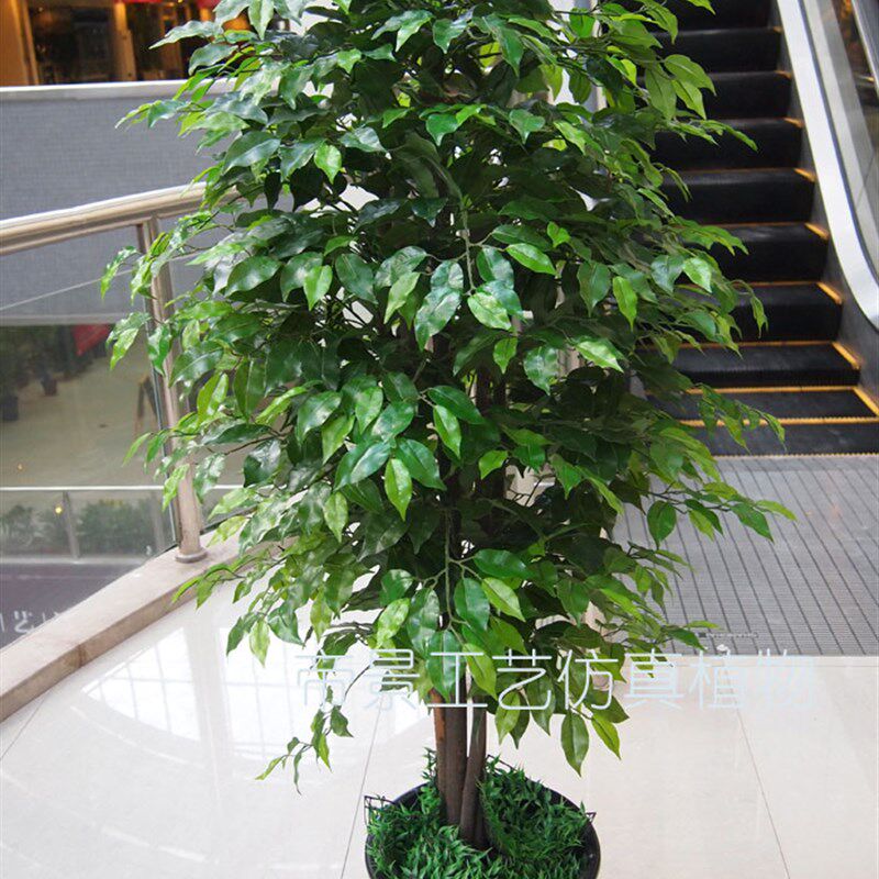 特价 仿真假植物树装饰客厅落地 1米6高5杆手感过胶榕树家居布置