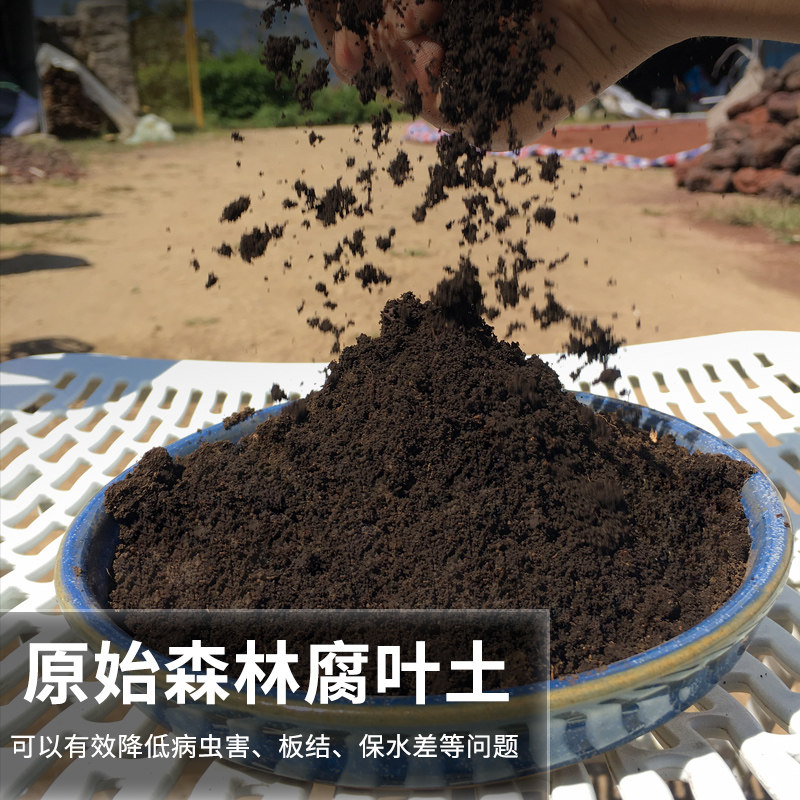 腐叶土腐熟营养土松针腐殖土家用养花种菜多肉山乌龟种植土100升