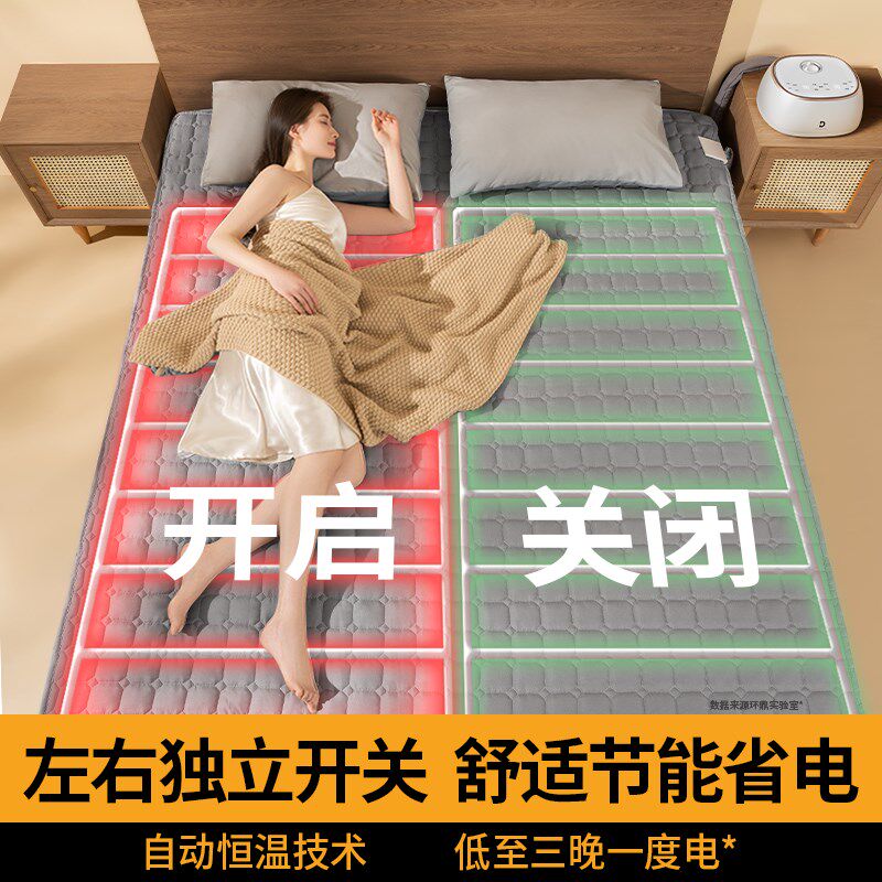 电褥子双人双控调温开关水暖电热毯水循环2024新款水热毯除螨除湿