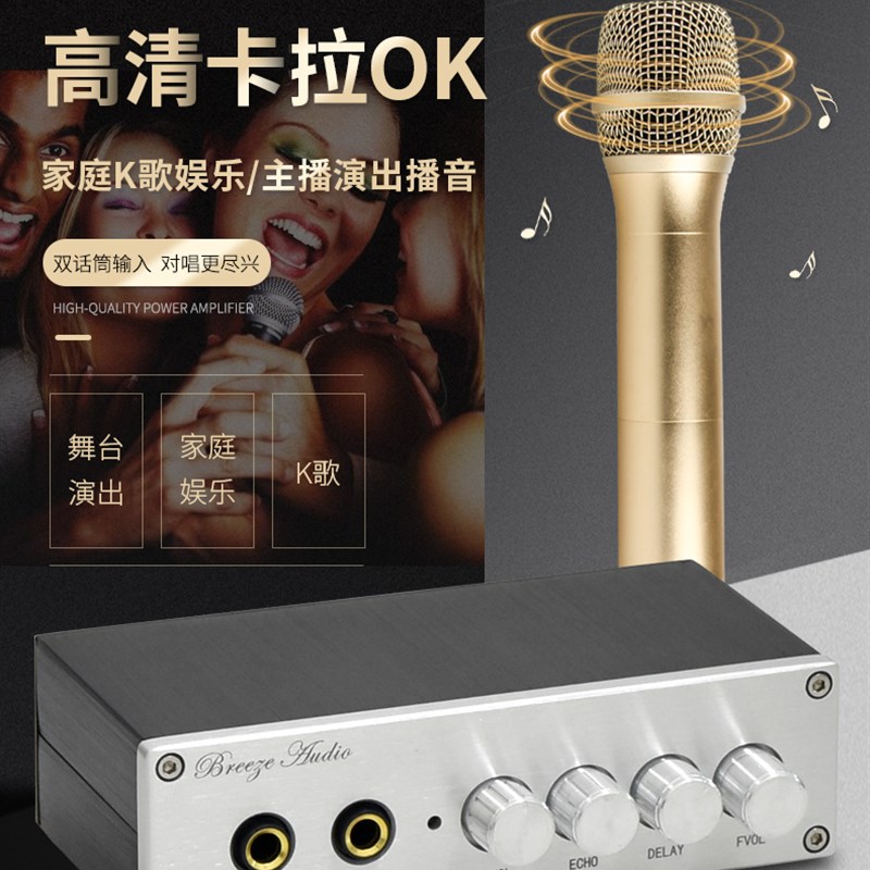 乐坛歌神家庭KTV 卡拉OK 唱歌前级 主播混响效果 双麦克风话筒K歌