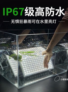 蚂蚁led户外七彩射灯投光灯园林绿化蓝色灯庭院超亮红黄绿照明灯