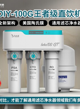 RO反渗透净水机乐天鹅DIY净水器 家用厨房直饮机智能APP控制