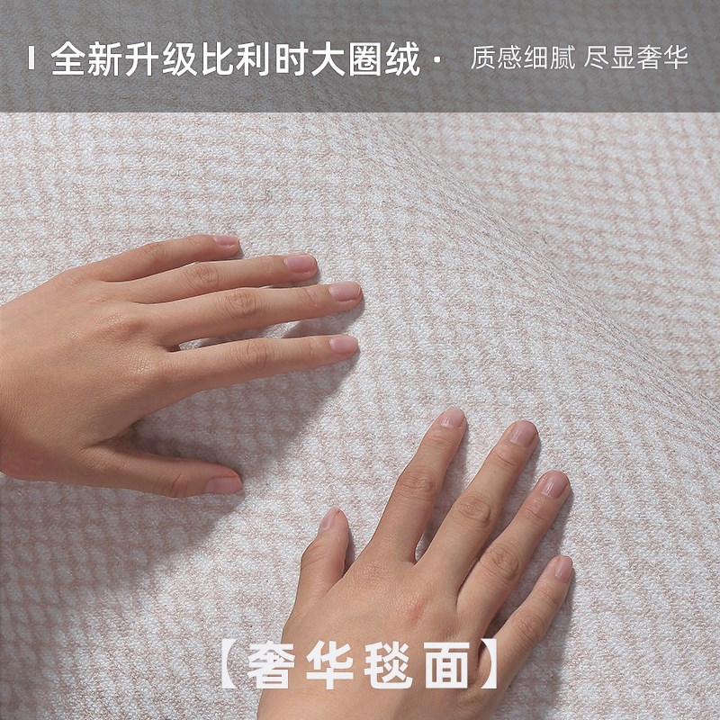 地毯客厅2024新款沙发垫轻奢高级感床边地毯卧室家用地毯免洗可擦