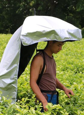摘茶叶可背式采茶伞遮阳伞采茶防晒伞专用头顶雨伞帽户外背伞神器