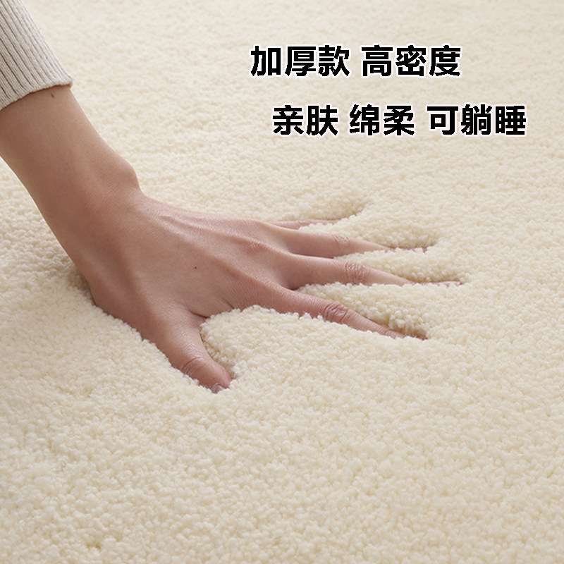 加厚客厅茶几地毯卧室满铺床边长方形少女长毛毯可定制大面积地垫