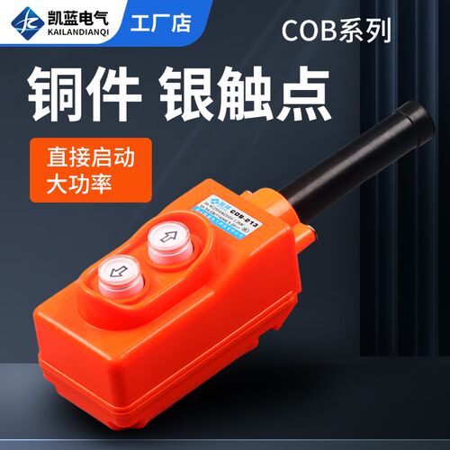 TNHA1 COP COB-213 行车开关 直控型吊机 吊车开关上下按钮大功率