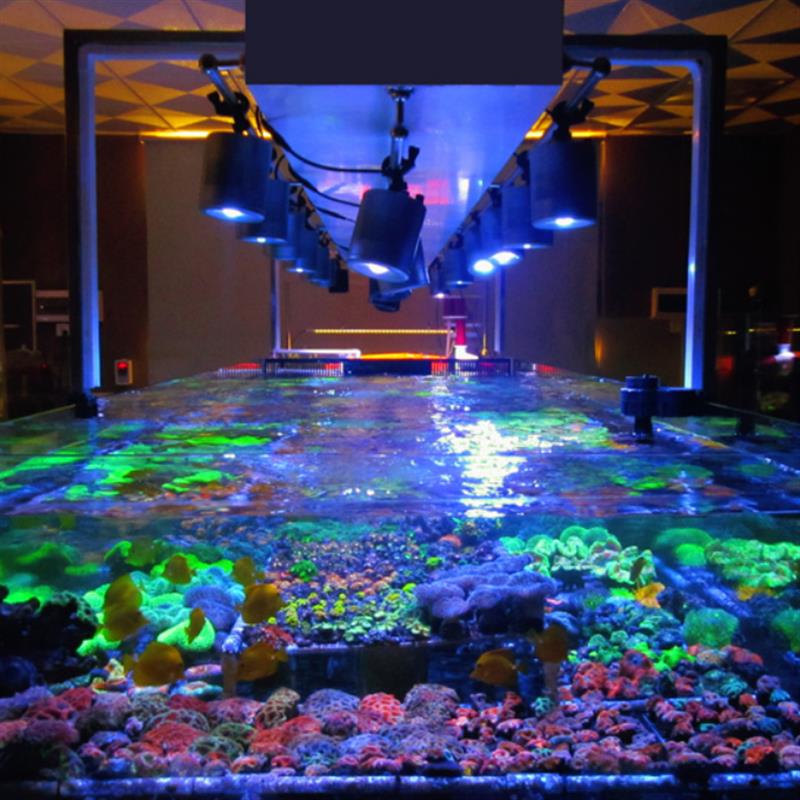 俊星AS海缸珊瑚灯显色成长LED灯具水族鱼缸灯架纯蓝蓝白海水养殖