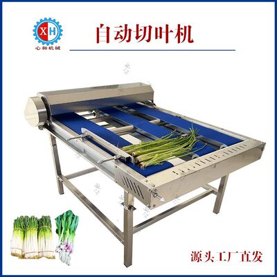 心和牌平行输送蔬菜切根机商用全自动多功能香菜韭菜小葱去头设备